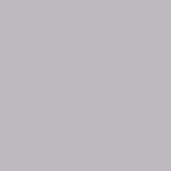 HHES Adult Zip-Up Hoodie Grey Design
